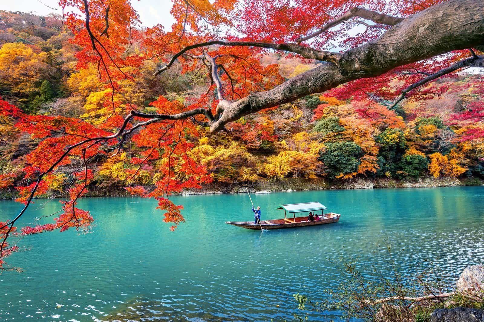 River, boat, and trees