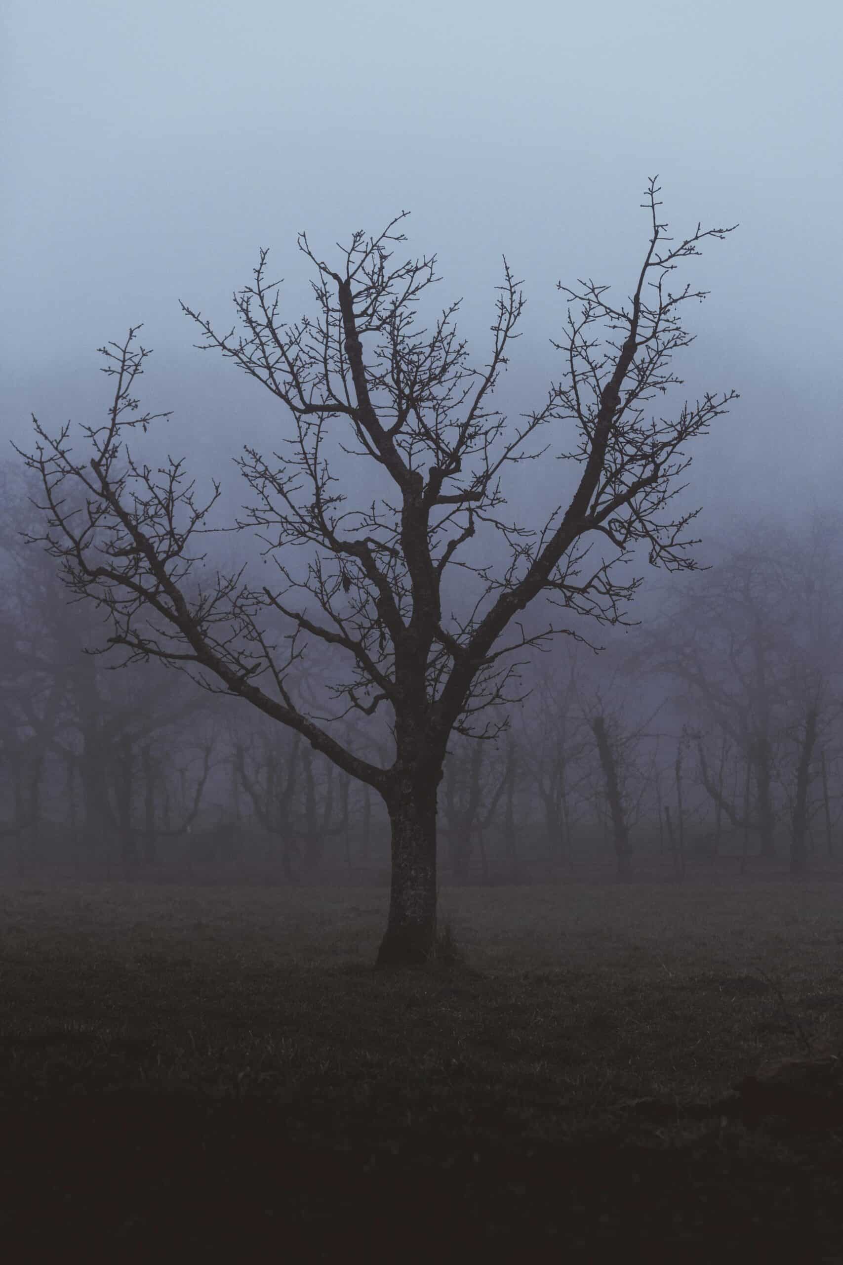 Understanding grief's unpredictability