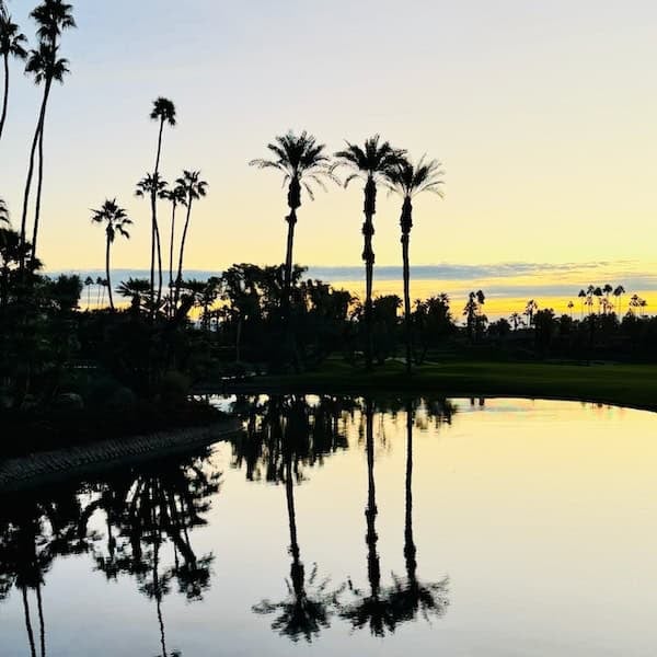 Palm Desert Sunset