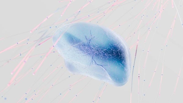 How trauma rewires the brain