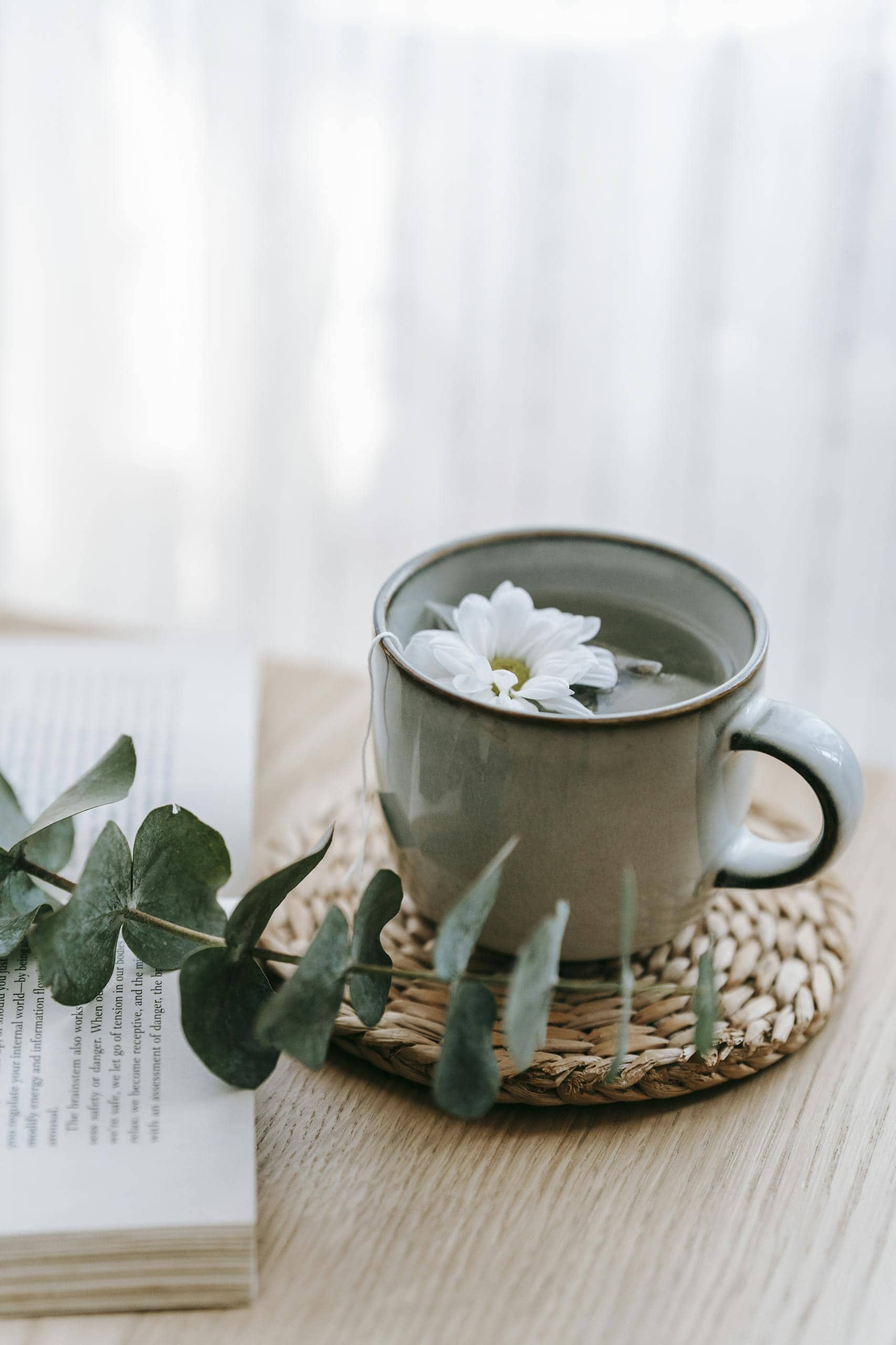 A cup of green hot beverage with blossoming Chrysanthemum on a straw mat against a plant sprig on a textbook in the house for daily routine for emotional healing.