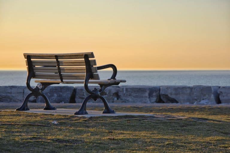 Empty park bench at sunrise in soft golden light — healing from a complicated Father's Day and father wound trauma recovery