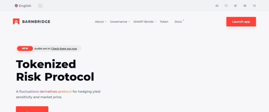 Barnbridge.com Defi Coin Review: Tokenized Risk Protocol
