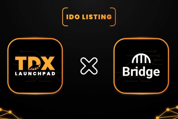 Bridge Network is Launching Its IDO on TDX Launchpad