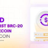 Stably Launches #USD as the First BRC20 Stablecoin on the Bitcoin Network