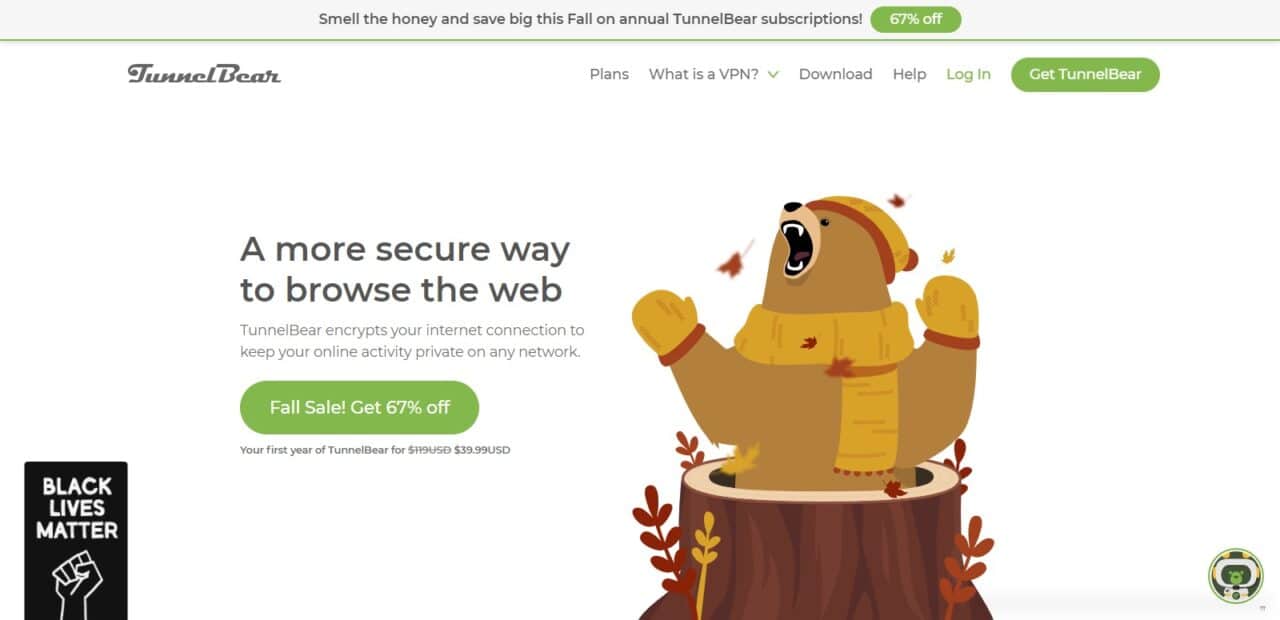 TunnelBear (Top VPNS For Safari )