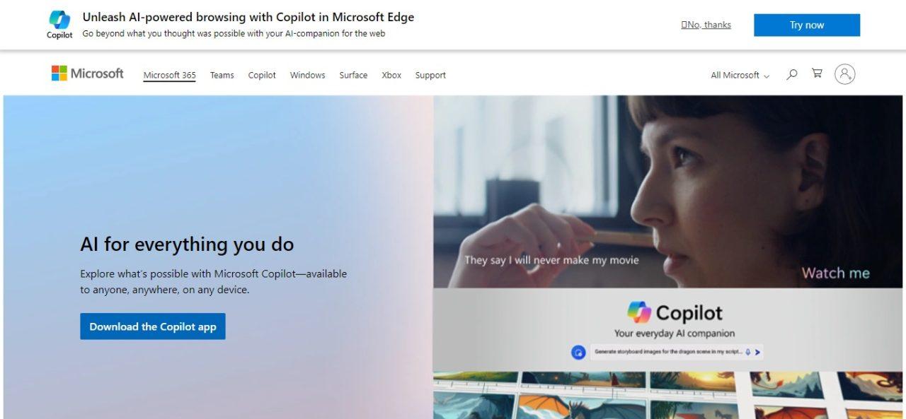 2. Microsoft (Technology)