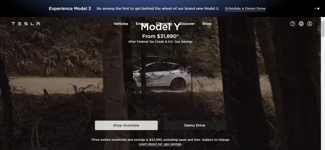 4. Tesla (Automotive)