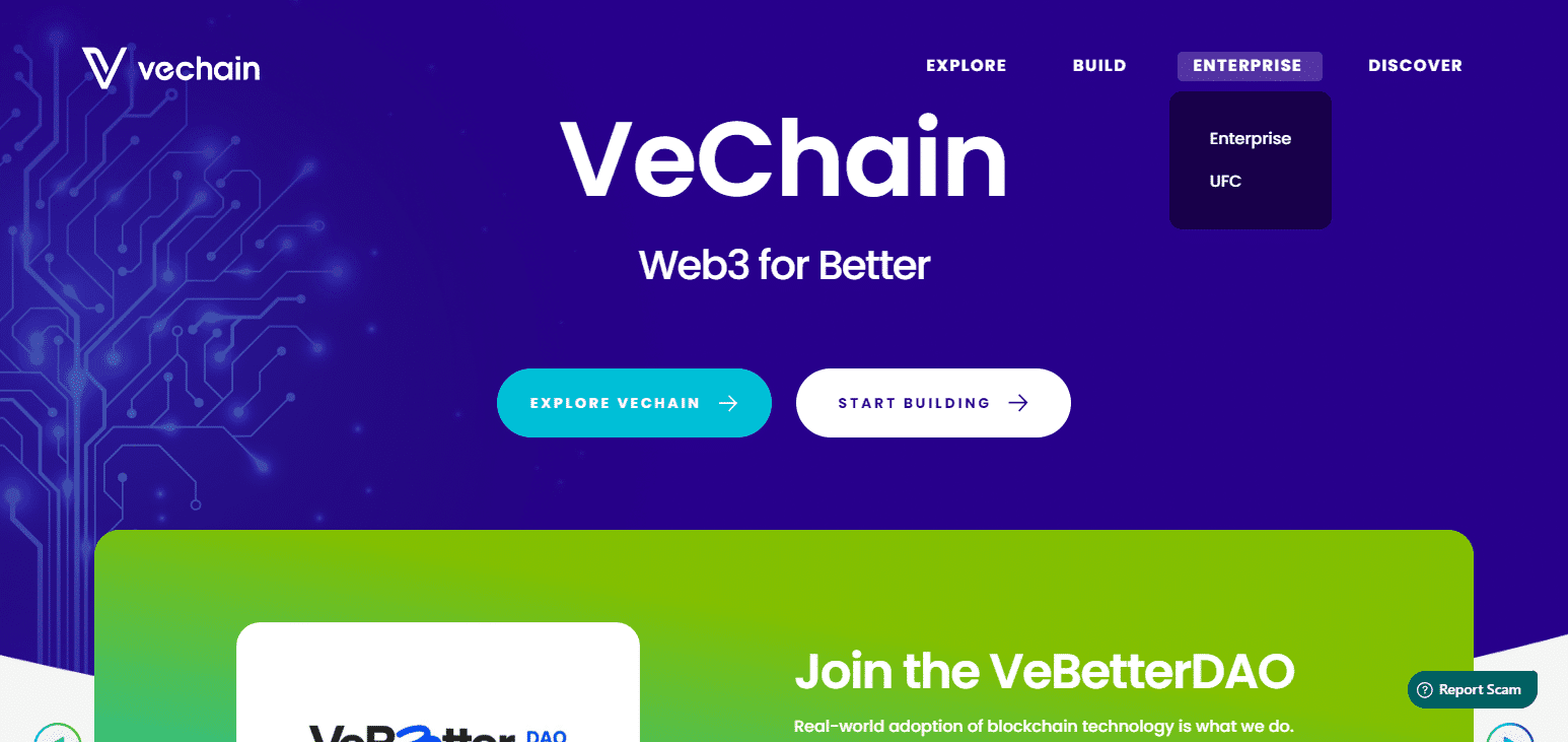 VeChain (VET) Best Crypto In Nigeria