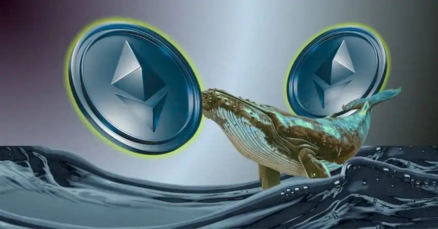 Ethereum Whales Quietly Grab 1.4 Million ETH Before Price Surge – Is $3,000 Next?