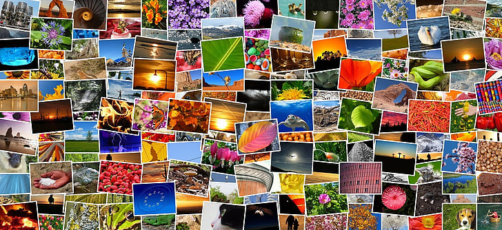 10 Best Methods For Organizing Digital Photos – Simple & Effective Tips