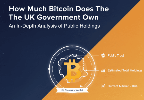 How Much Bitcoin Does The UK Government Own
