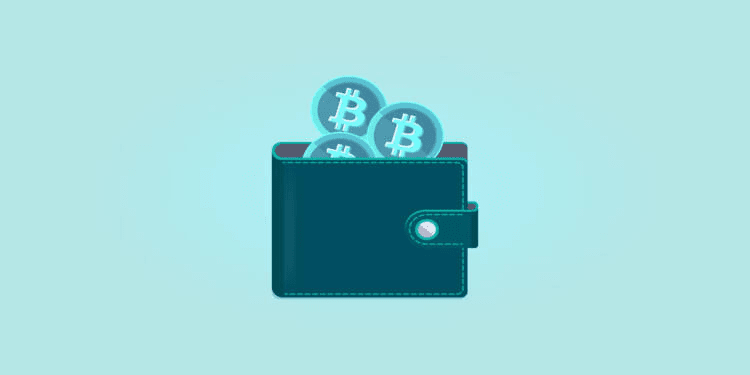 Types of Blockchain Wallet