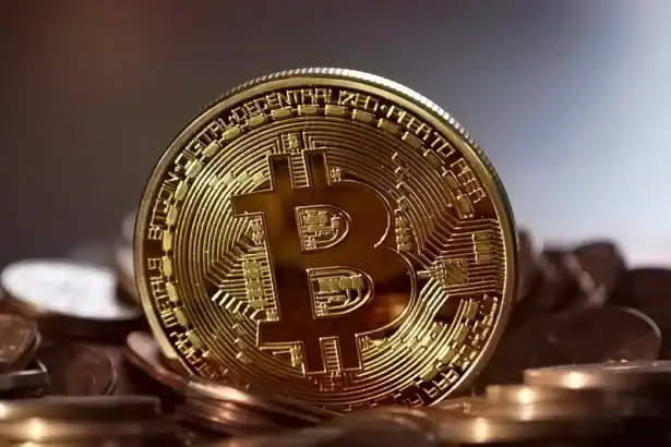 10 Best Snake Tokens 2026: Top Meme & Crypto Snake Coins