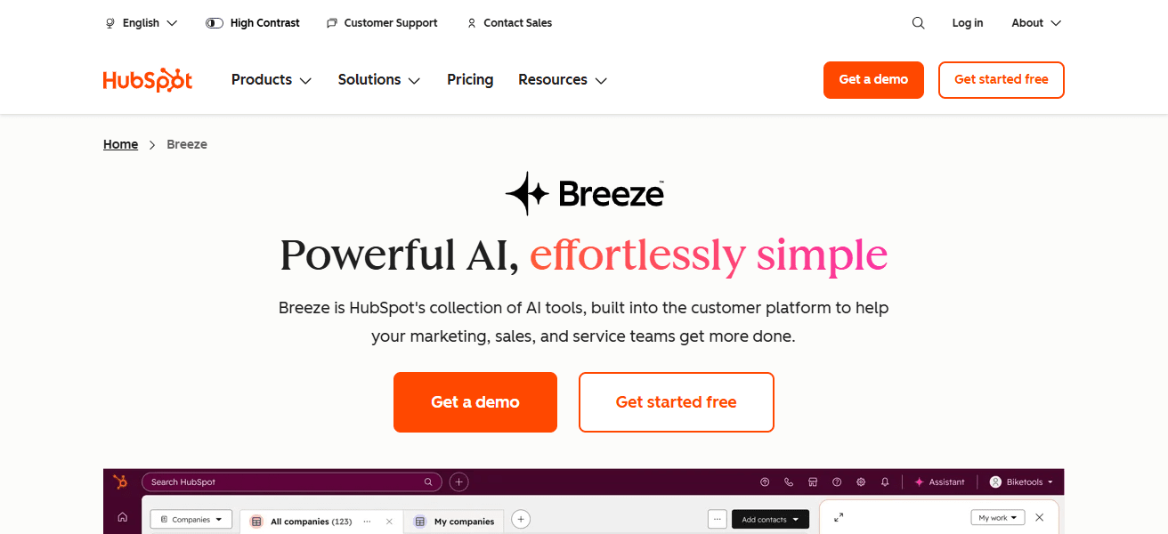 HubSpot AI