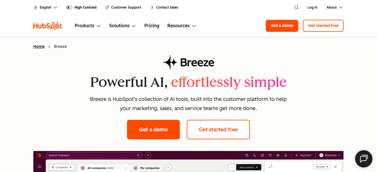 HubSpot AI