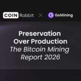 CoinRabbit and GoMining Report