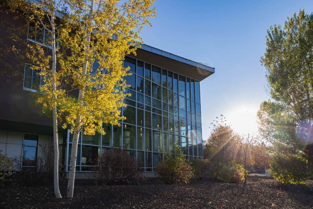 Beautiful fall color around the campus of Northern Arizona University
