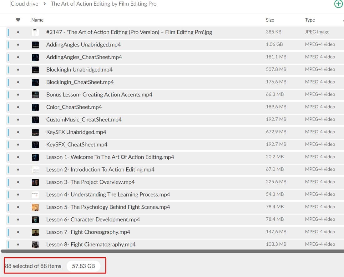 the art of action editing by film editing pro