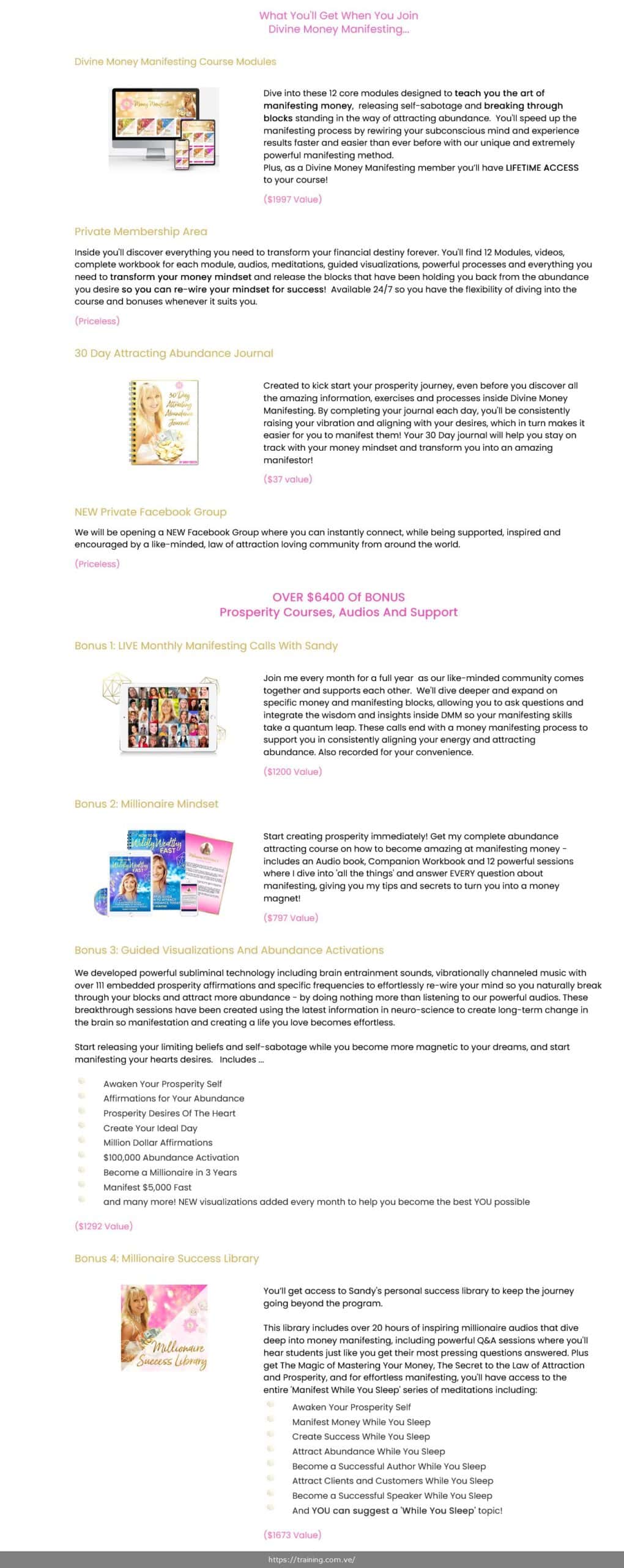 divine money manifesting by sandy forster
