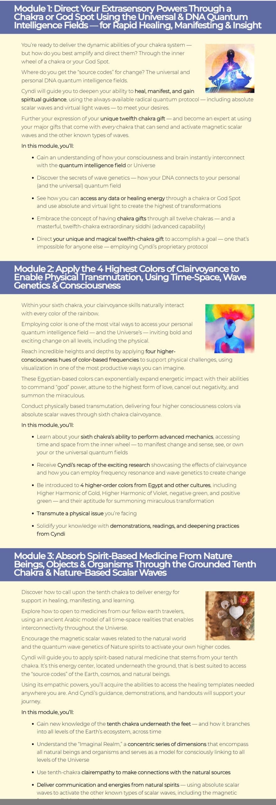 quantum energy healing cyndi dale