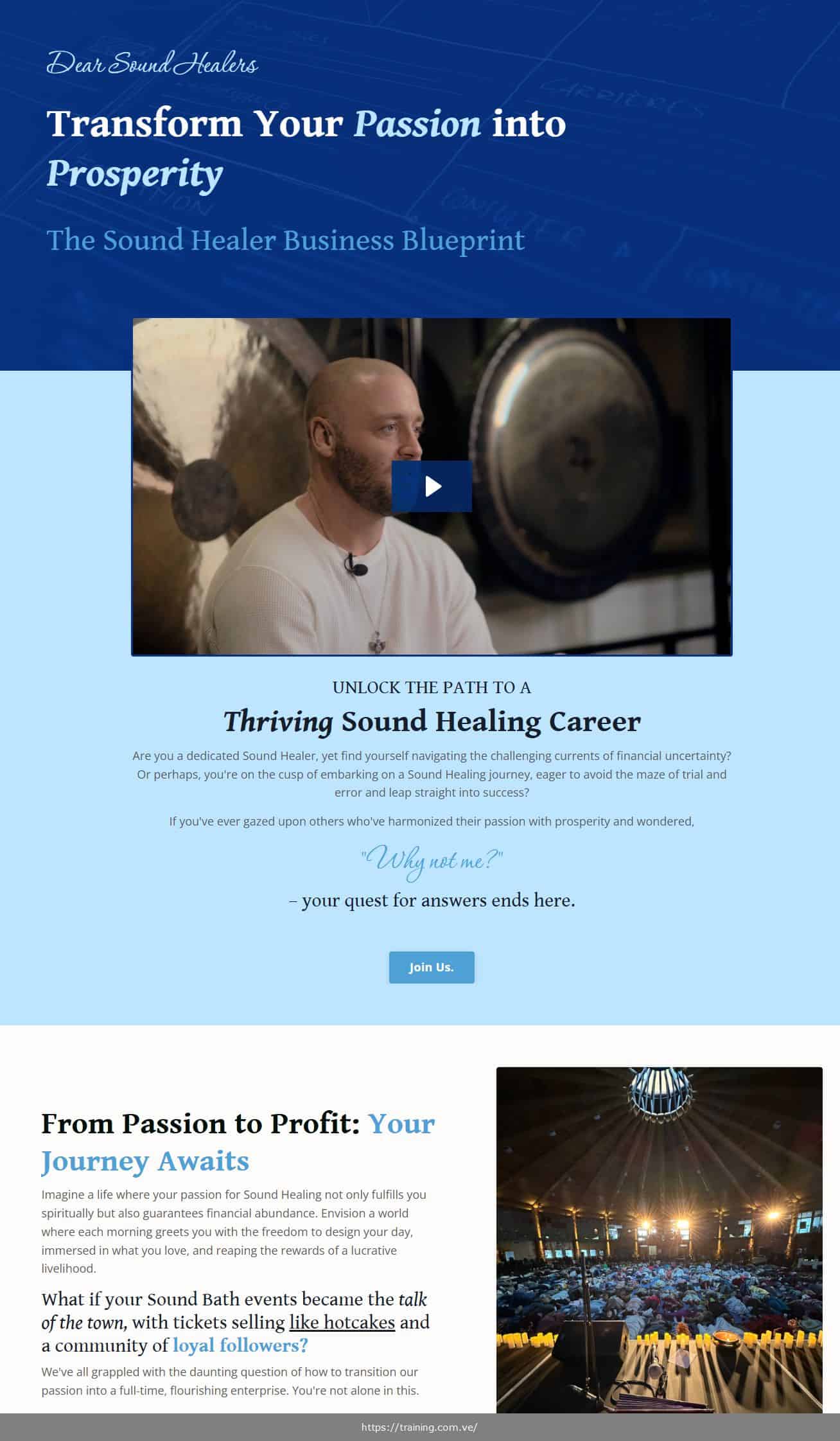 sound healer business blueprint by mike reed