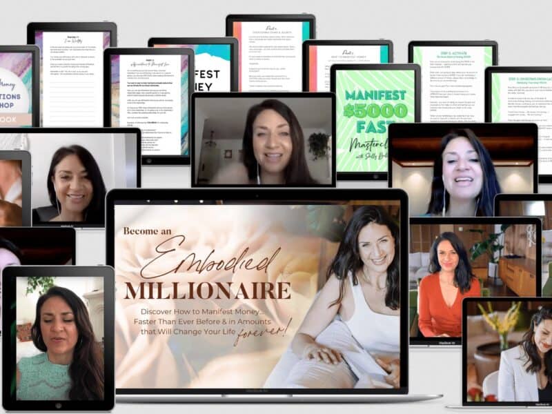 embodied millionaire by shelly bullard
