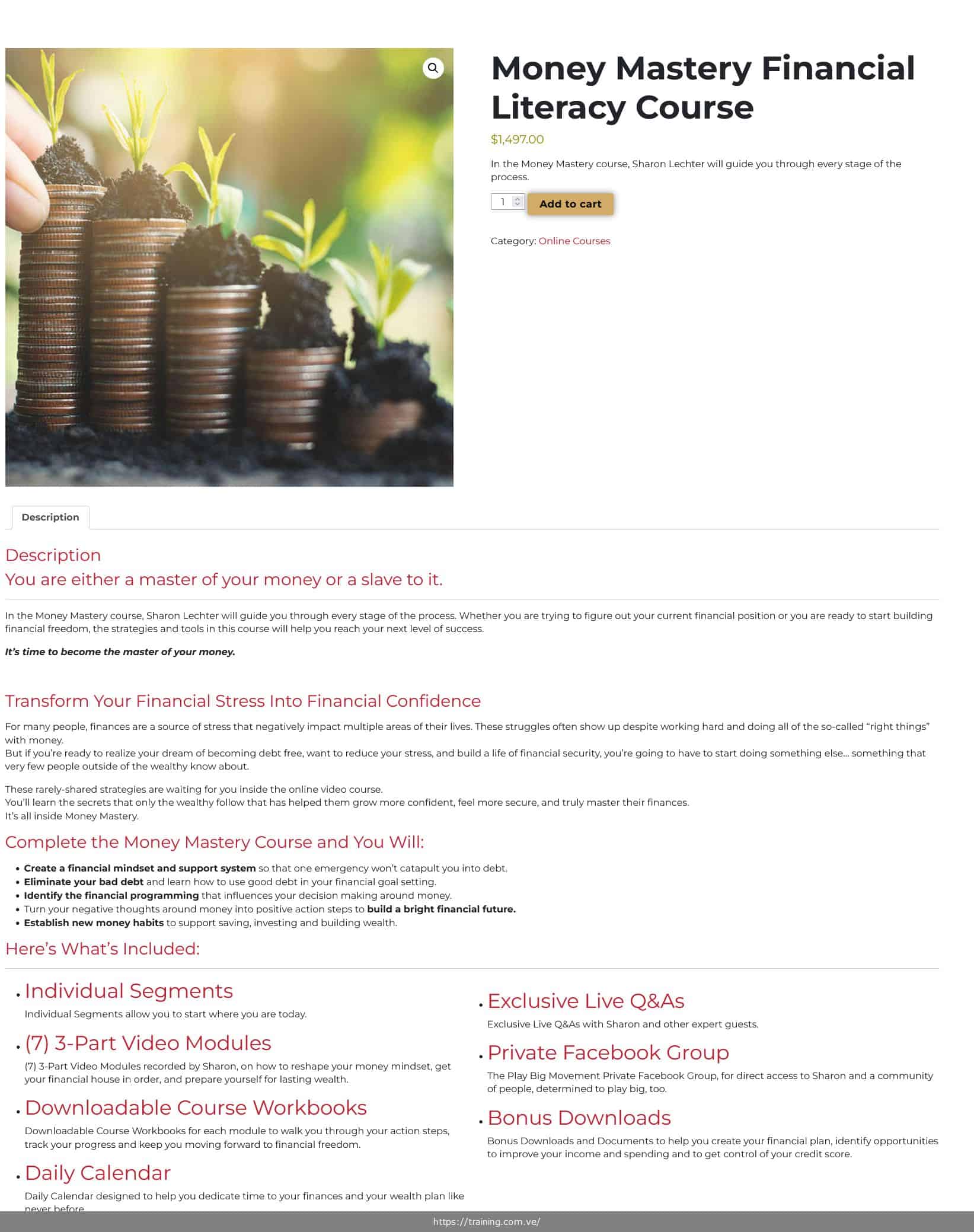 money mastery financial literacy by sharon lechter