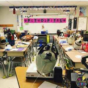 veterinarian classroom transformation