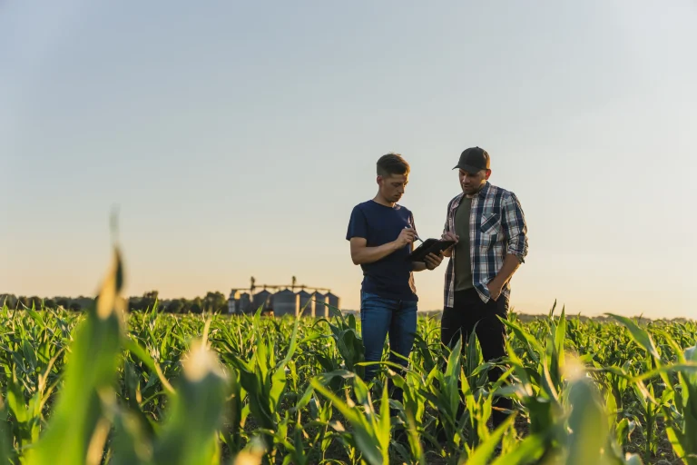 Data-Driven Irrigation Delivered 22% Yield Increase