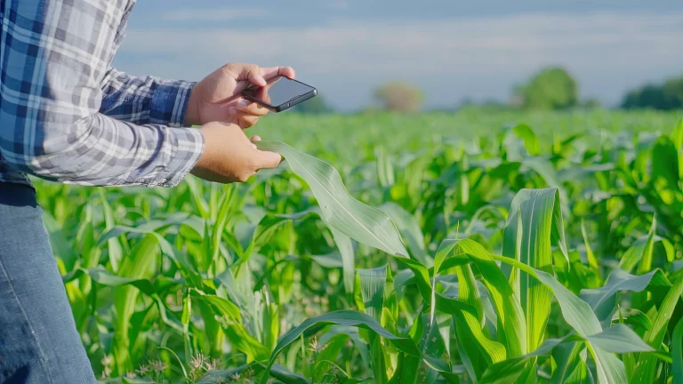 Helping hundreds of Northern Plains growers raise yields and irrigate with confidence using CropX V4 sensors