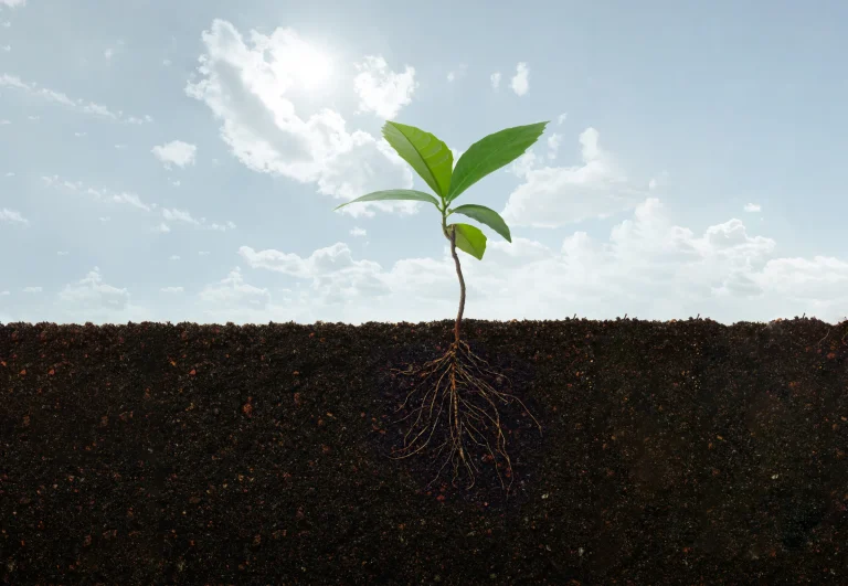 Balancing Water Supply and Demand with Soil and ET Data