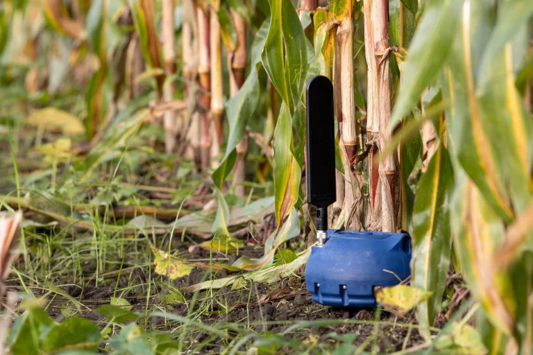 Smart Water Management for Rainfed Farming: Why Soil Moisture Sensors Matter