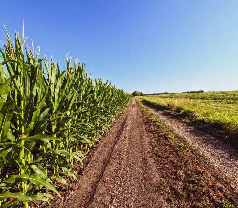 Cutting Irrigation by one-third on a Colorado family farm using CropX sensors—in partnership with the Colorado Ag Water Alliance