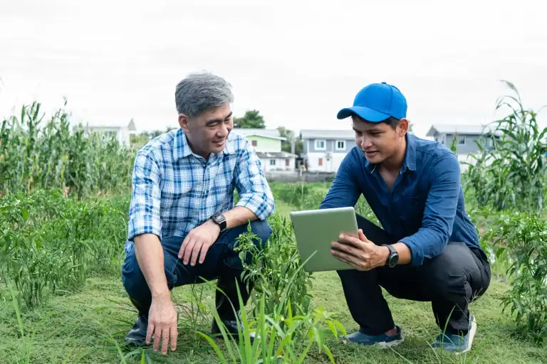 The Role of Precision Irrigation in Regenerative Agriculture