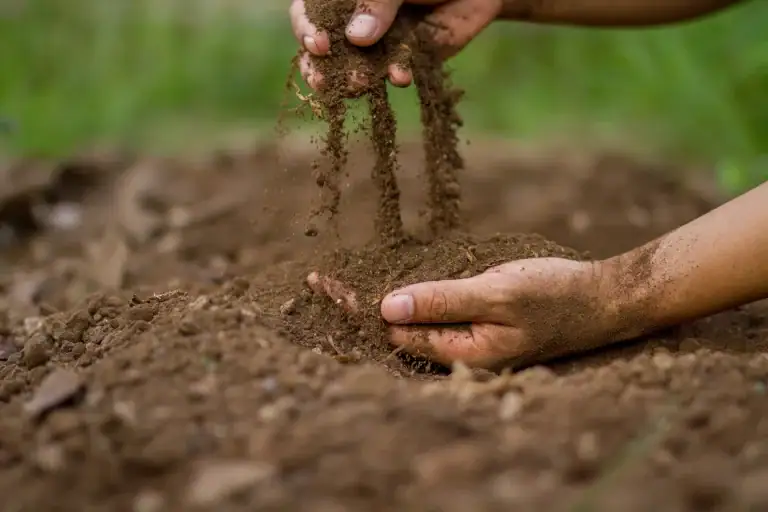 Smarter Farming Starts Below the Surface: CropX on the Cutting the Curve Podcast