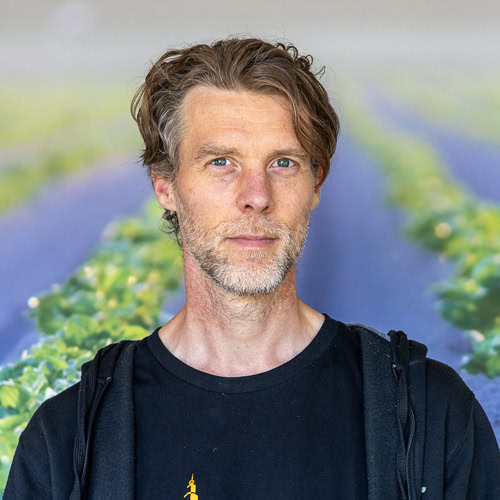 Cees van Wieringen