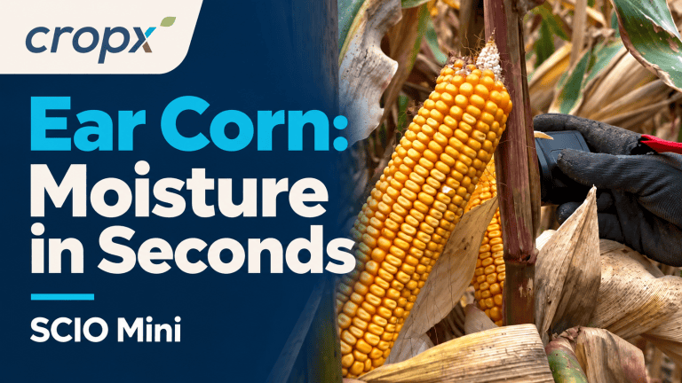 Ear Corn: Moisture in Seconds with SCIO Mini | CropX