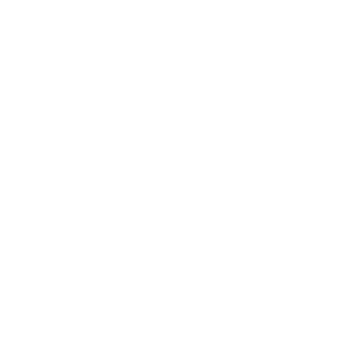 CASA White logo