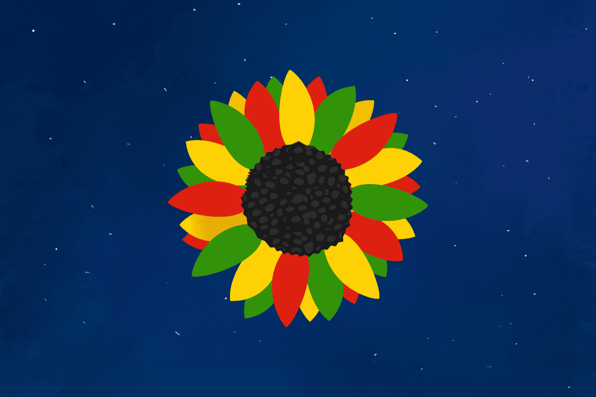 A colorful sunflower with red, yellow, and green petals against a starry night sky background.