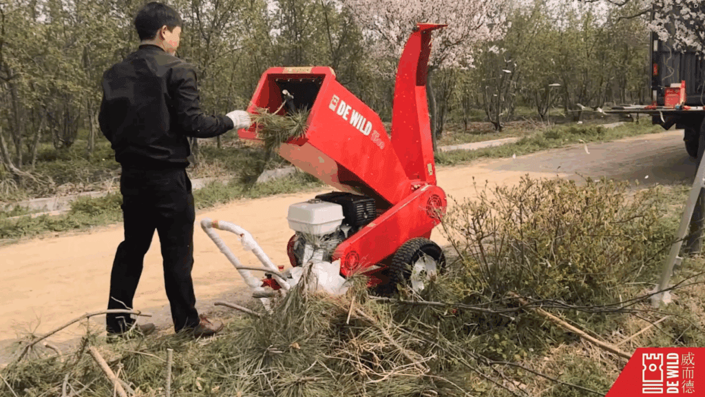 校园绿化