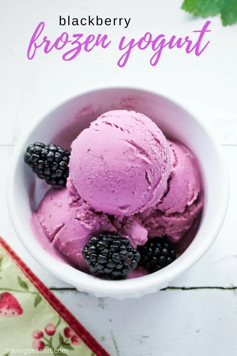 Blackberry Frozen Yogurt