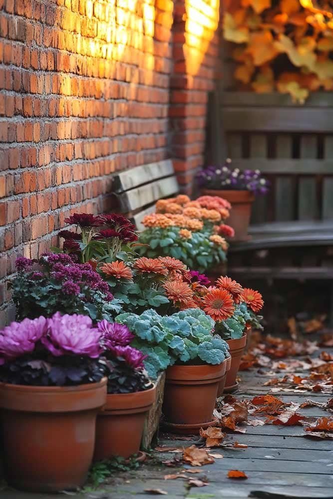 Collection of terracotta pots filled with autumn flowers