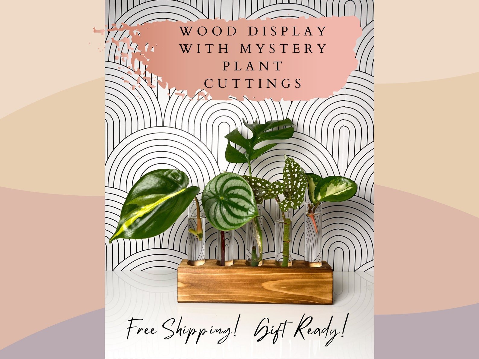 Personalized birthday box plant – gift box with planter and greenery