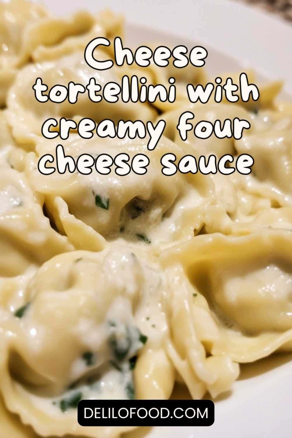 Cheese tortellini with creamy four cheese sauce