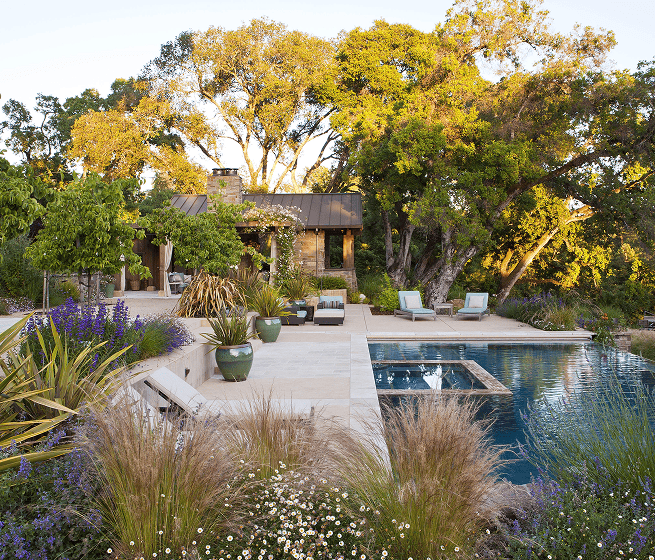 modern pool backyard
