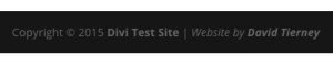 divi child theme footer