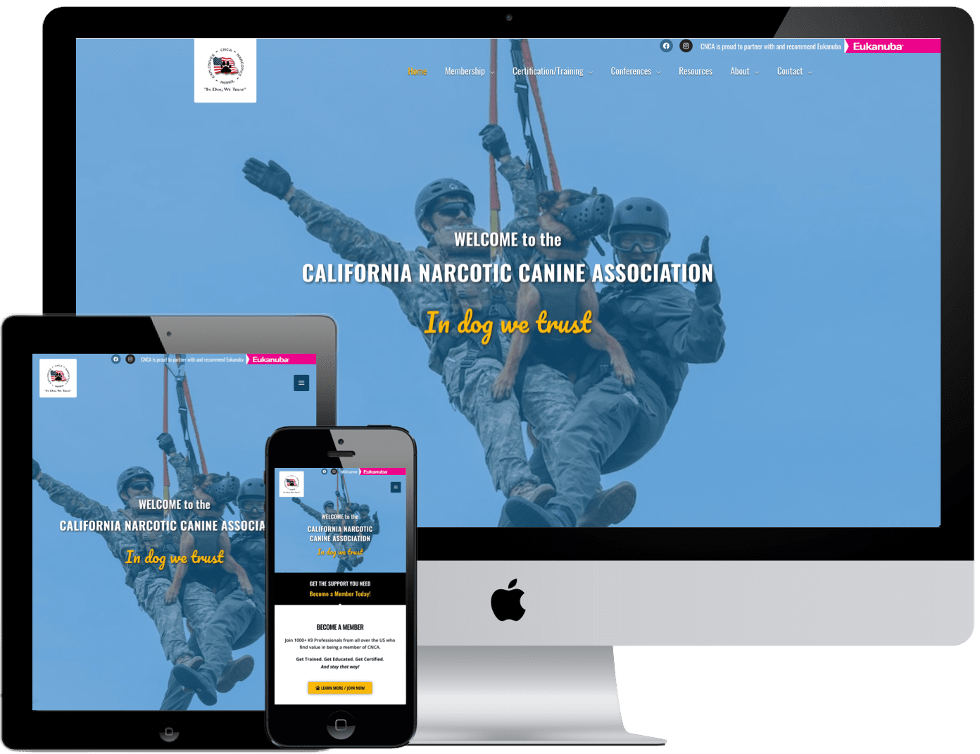 web designer sample