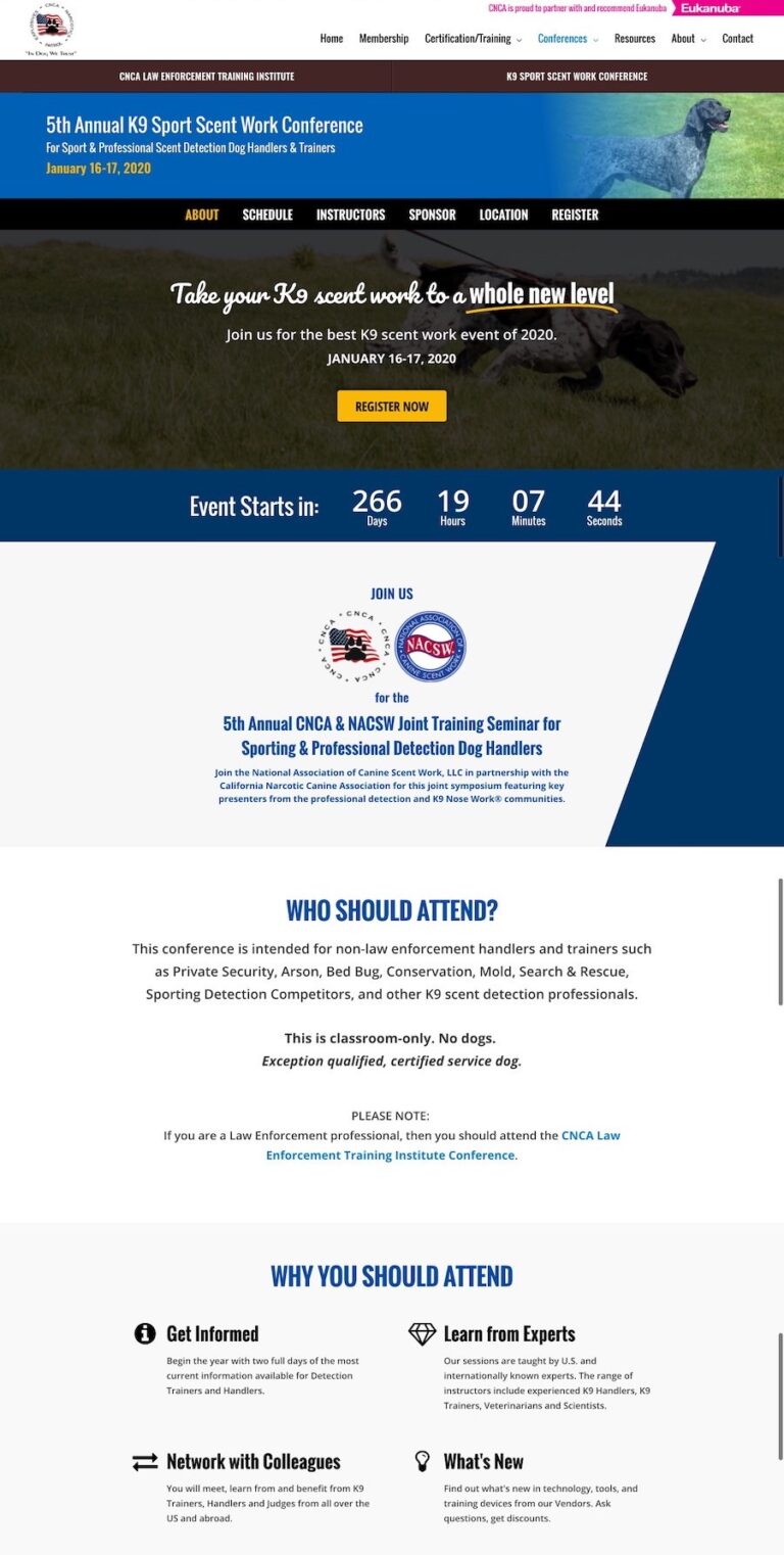 web designer sample