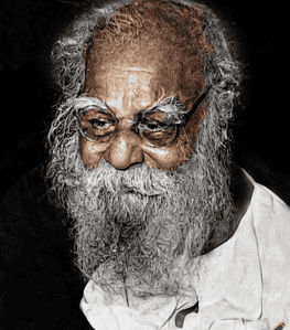 Thanthai Periyar Wall Art